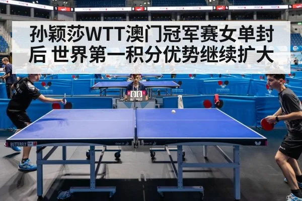 table tennis match arena